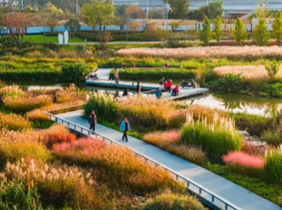 秋光為伴，我們與張村河共繪新景